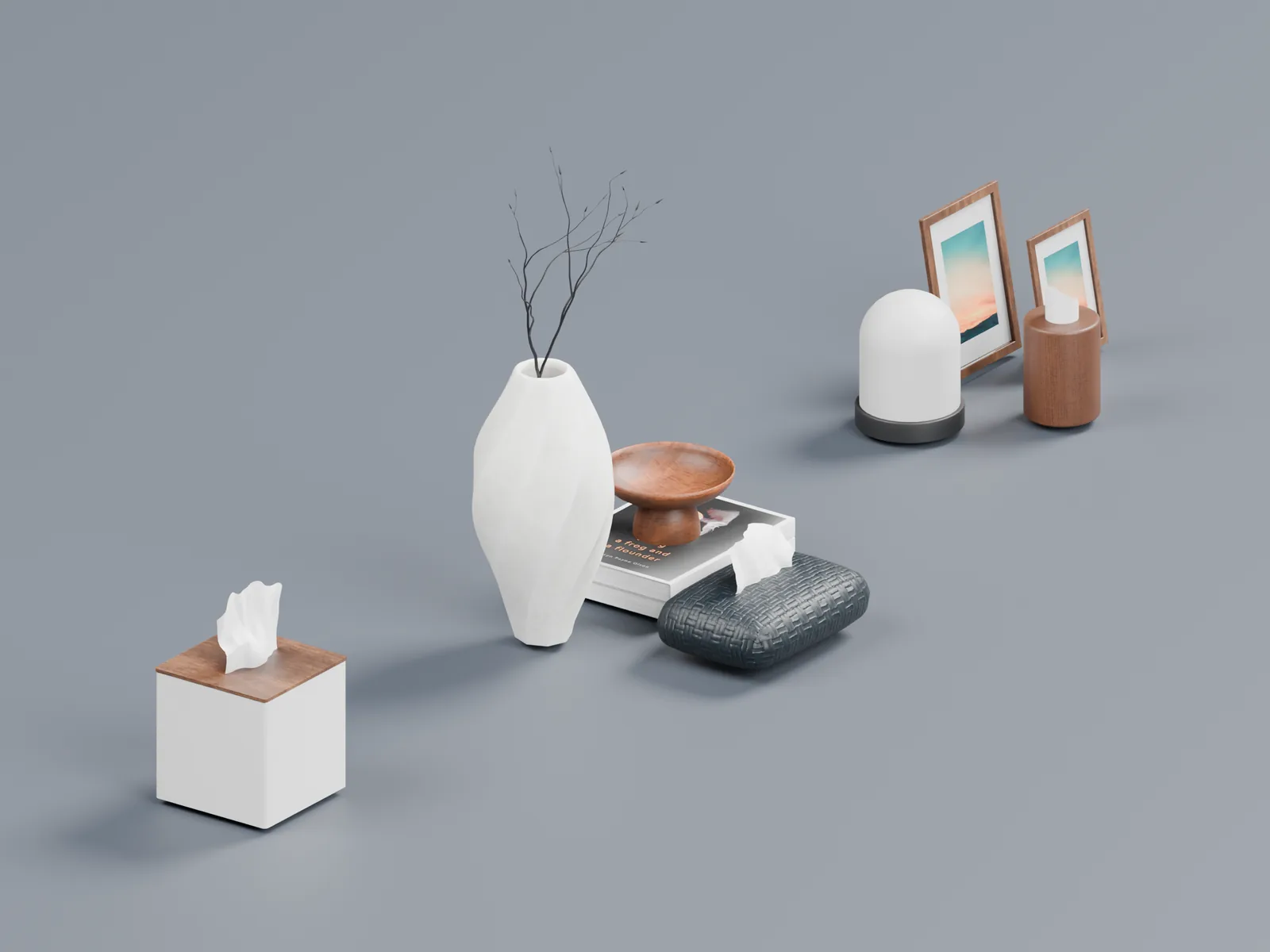 Prop Set B: tissue box, vase with branch, wooden bowl on books, woven tissue pack, lamp and picture frames