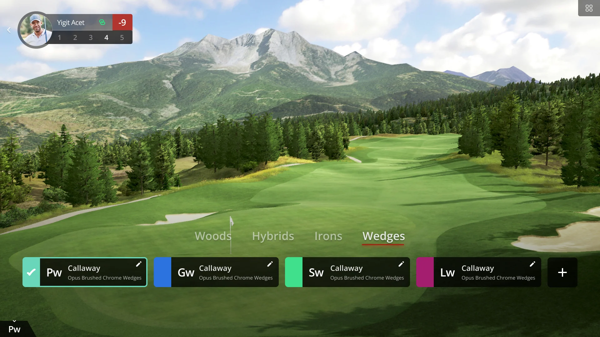 Clubs / Wedges