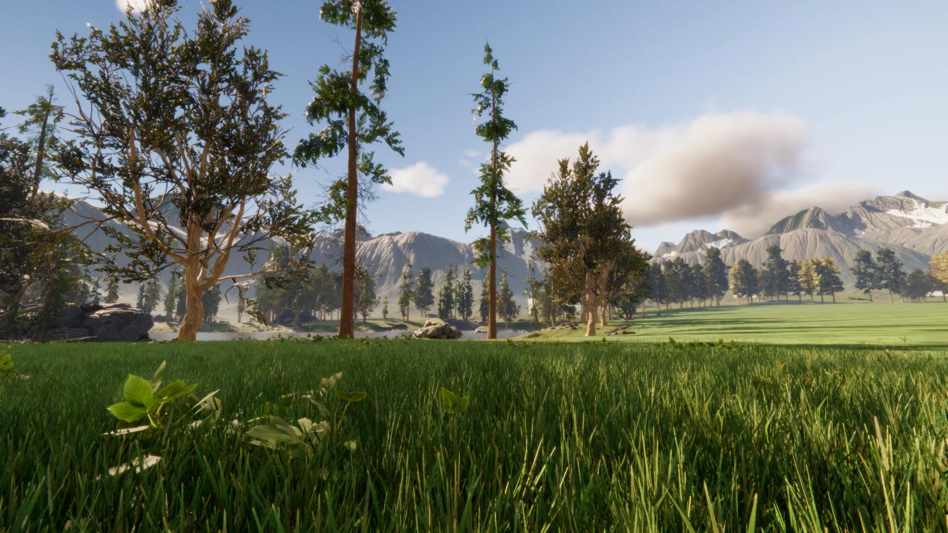 Fairway and vegetation study